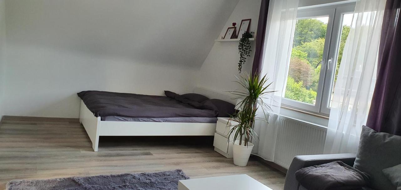 Bonn/koenigswinter Appartement